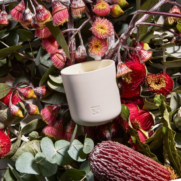 australian wildflower candle