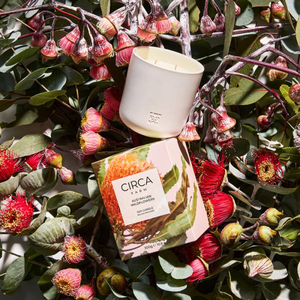 australian wildflower candle