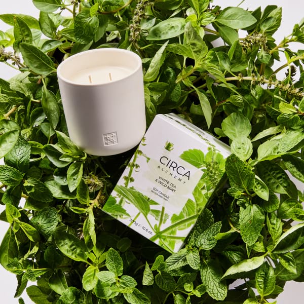 white tea and wild mint candle