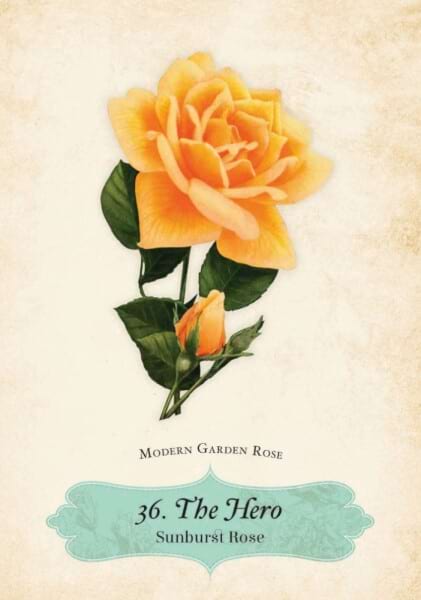 oracle of the roses
