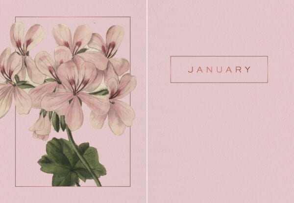 A year of flowers