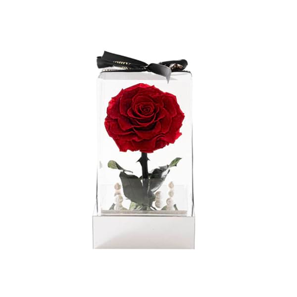 forever rose 5