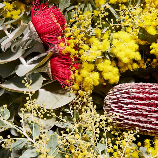 australian wildflower candle