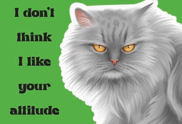 Cattitude