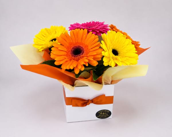 Gerbera posy box oranges yellows