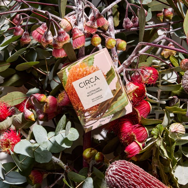 australian wildflower candle