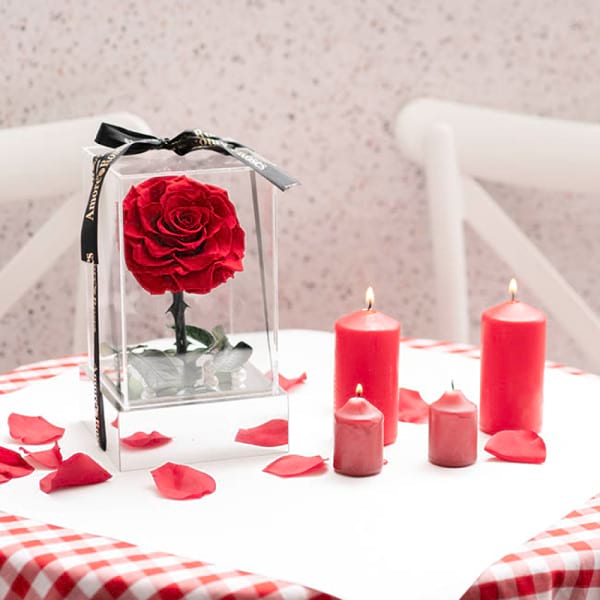 forever rose 1
