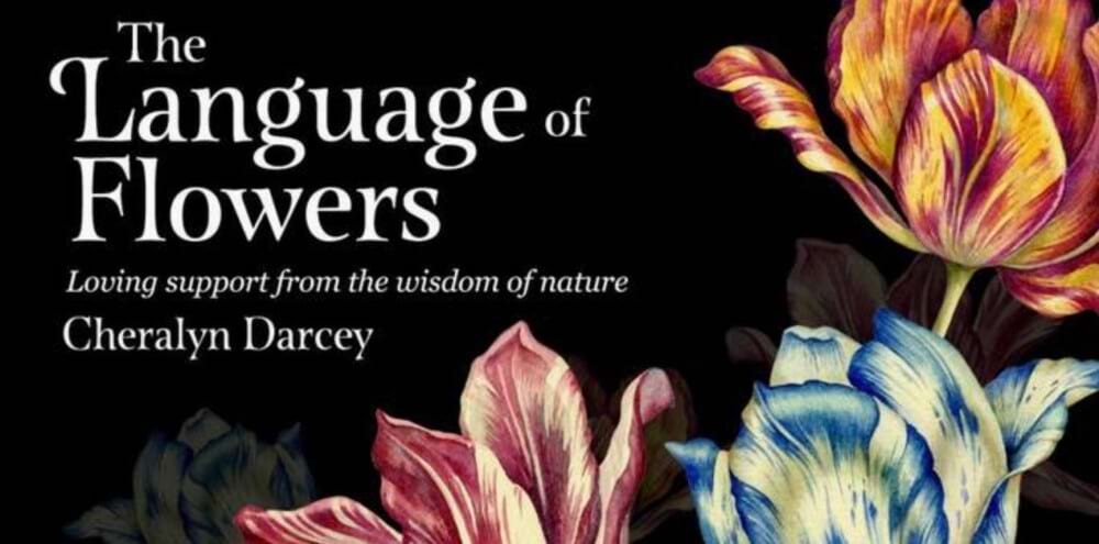 The Language of Flowers - Affirmation Cards