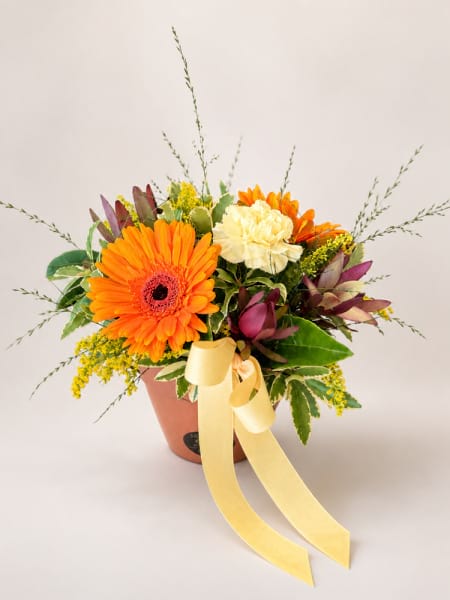 The Siena