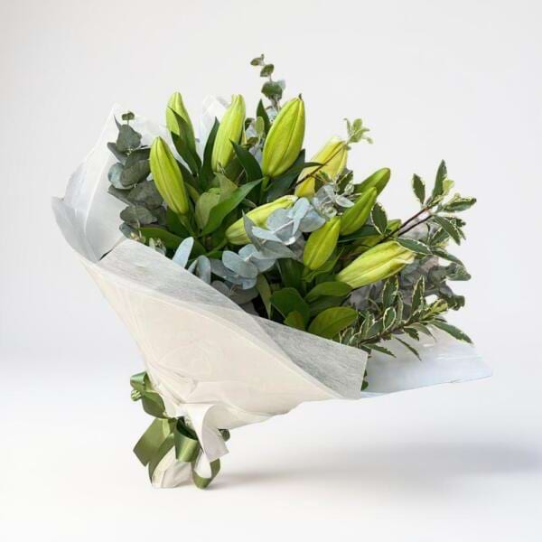 The Classic Lily