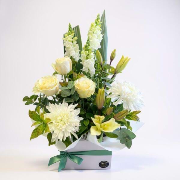 The Tranquility