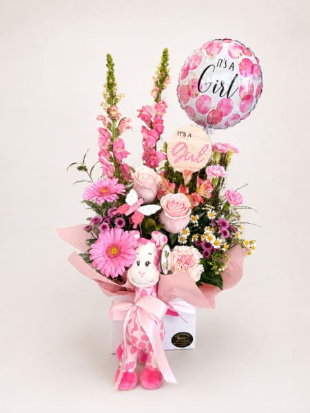 The Baby Girl Bundle